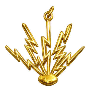 Electrician badge